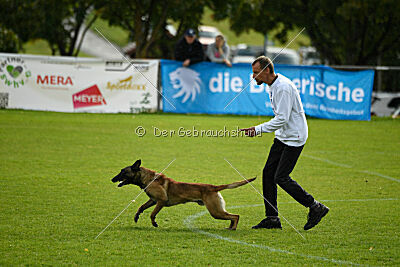 Donar Bestiaras