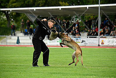 Donar Bestiaras