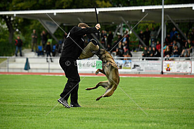 Donar Bestiaras