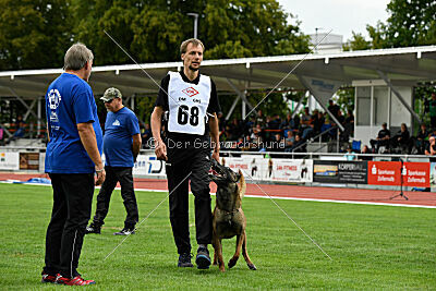 Donar Bestiaras