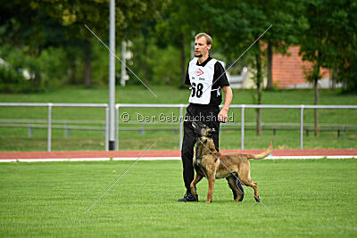 Donar Bestiaras
