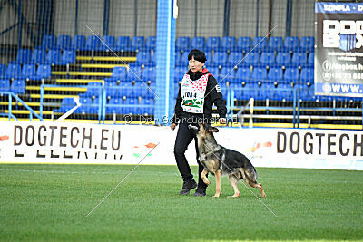 Dooly of Dog training