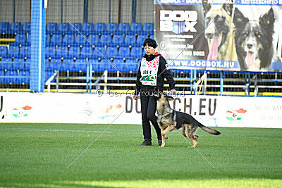 Dooly of Dog training