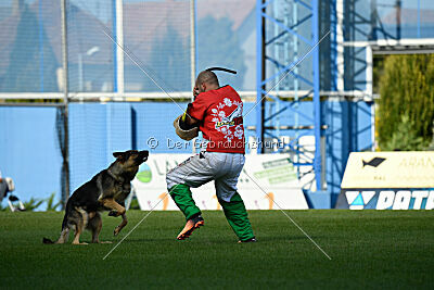 Dooly of Dog training