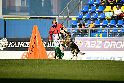 Dooly of Dog training