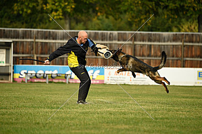 Dyson del Camino Duro