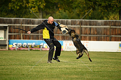 Dyson del Camino Duro