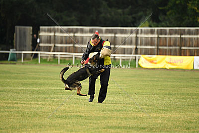 Dyson del Camino Duro