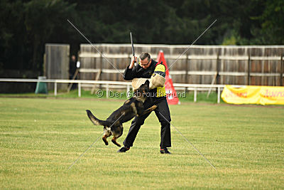 Dyson del Camino Duro