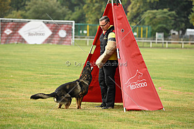 Dyson del Camino Duro