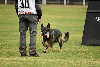 Dyson del Camino Duro