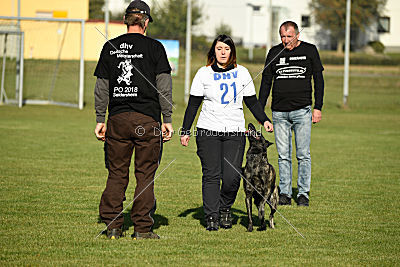 Ebby Fly Dogs Attak