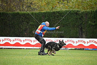 Eddy vom Isarland