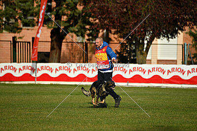 Eddy vom Isarland