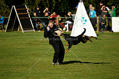 Elektra von der Ostseehexe