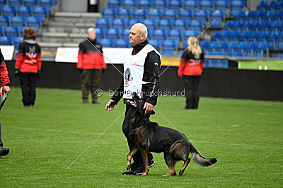 Elk von Daechsel