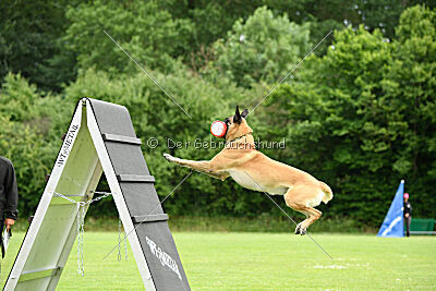 Eloy vom Streitwald