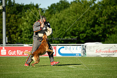 Erik vom roten Drachen