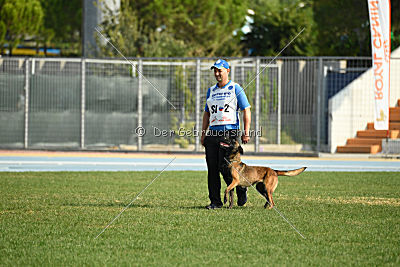 Erja-Ella Marshall Dogs