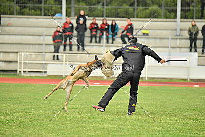 Es-Flindtto's Hasco