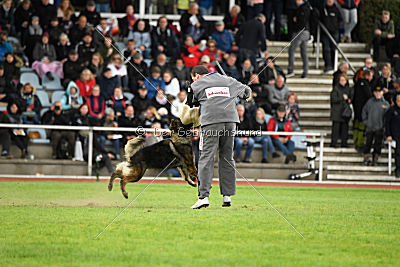 Eschna von Schloß Bothmer