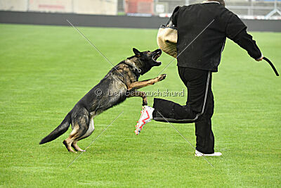 Eskarina Smith Arabrab