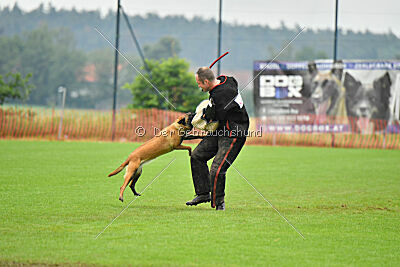 F'Nikita Lobo Grande