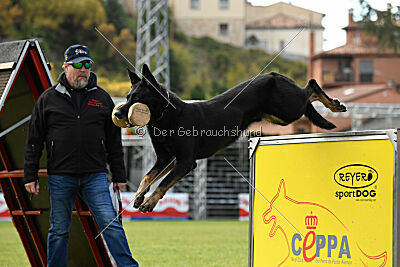 Falco Moravia Go-Ha