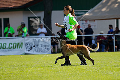 Falk chateau Schönwalde