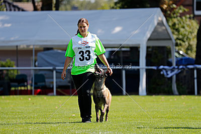 Falk chateau Schönwalde