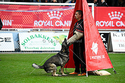 Falko Regent Rossich