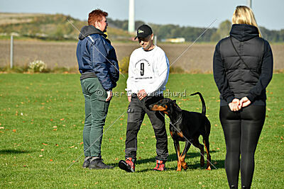 Faro vom Hexenzauber