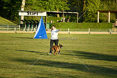 Farun des chiens de travail