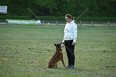 Farun des chiens de travail