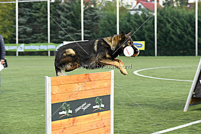 Fedo de Magec