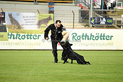 Fiete von der Grenze