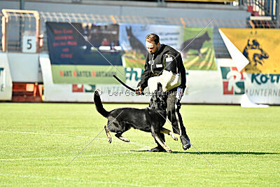 Figo von der Grenze