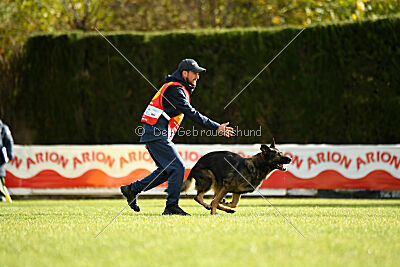 Finchpark Athos