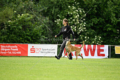 Fire vom schnellen Falken