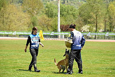 Fire vom schnellen Falken