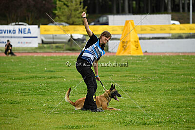 Fire vom schnellen Falken