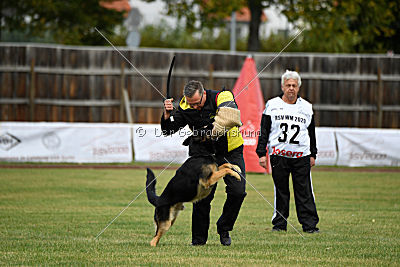 Forrest del Camino Duro