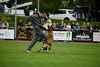 Freak von Malihattan