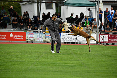 Freak von Malihattan