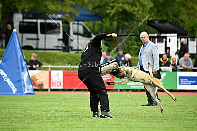 Freak von Malihattan