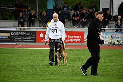 Freak von Malihattan