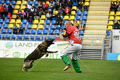 Freddy Tespo Bohemia