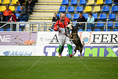 Freddy Tespo Bohemia