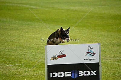 Freddy Tespo Bohemia