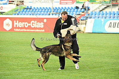 Fredo von Schloß Bothmer